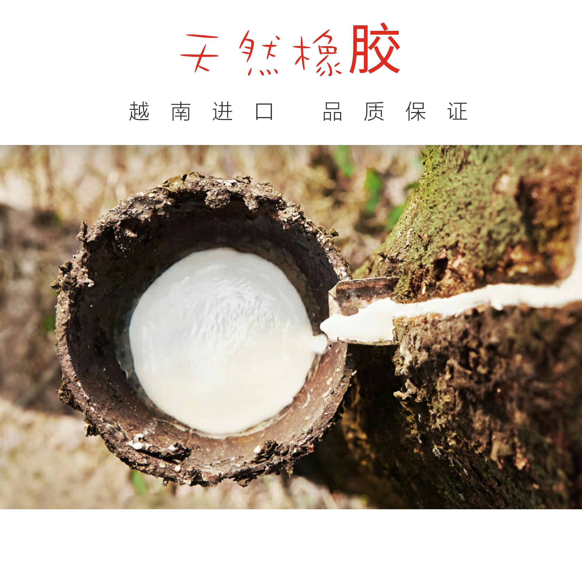 QQ圖片20161112105910.jpg